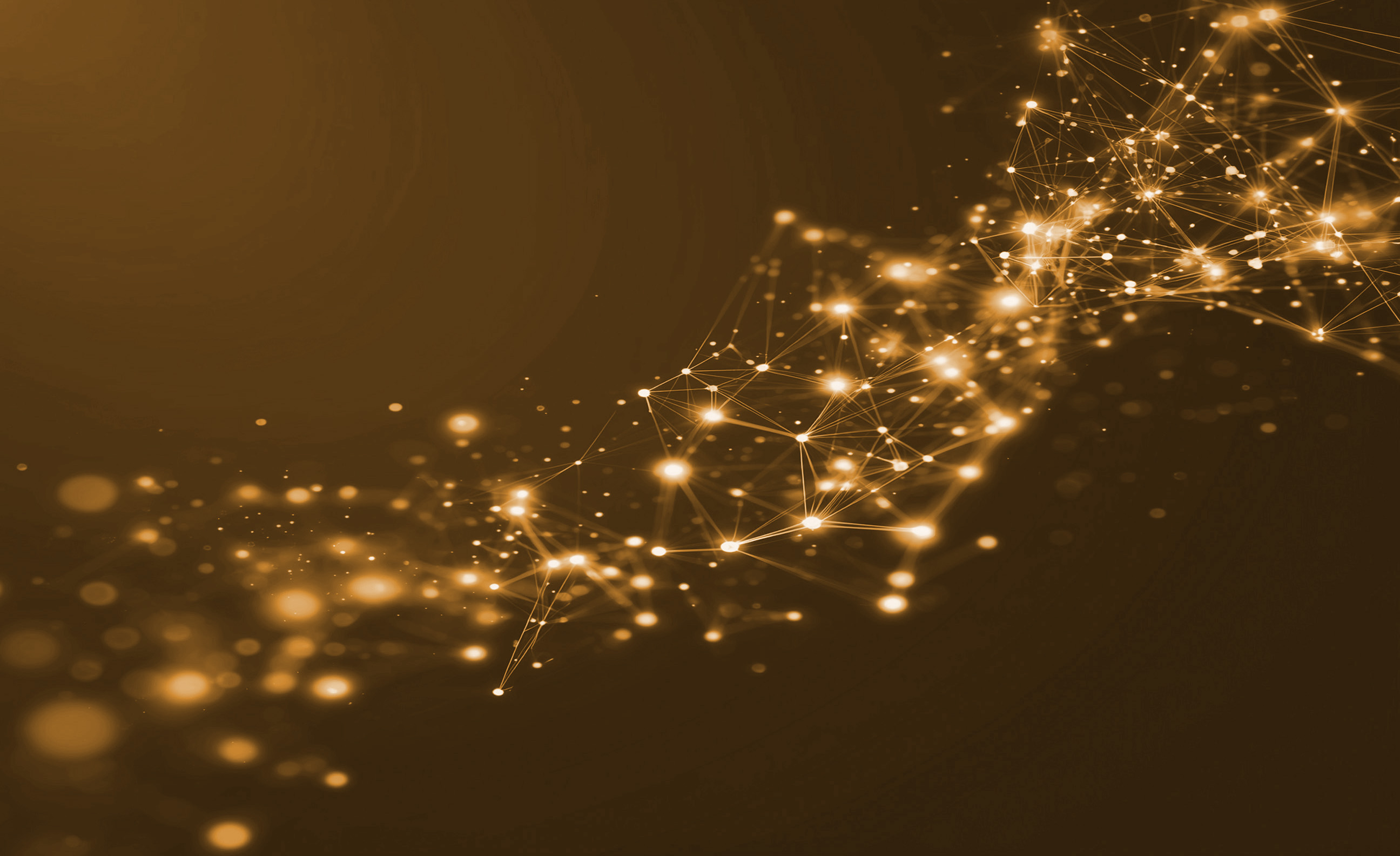 Process Efficiency — Blue Lacuna